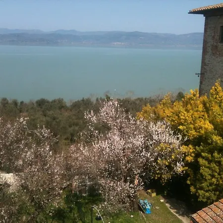 Ascanio